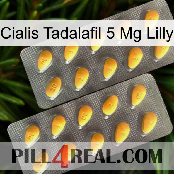 Cialis Tadalafil 5 Mg Lilly cialis2